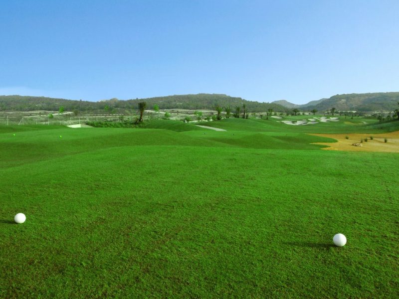 Interesting facts about golf: what to know about this popular sport?
