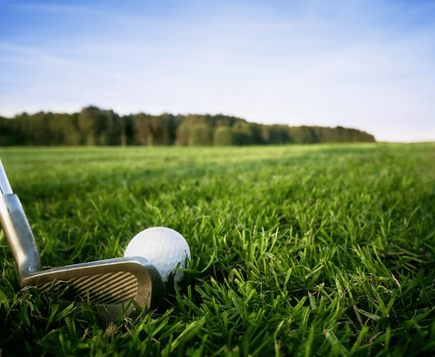 A club and a golf ball