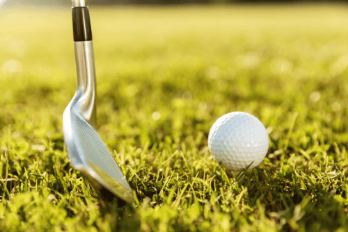 golf club and ball on the grass and the sunlight on the land