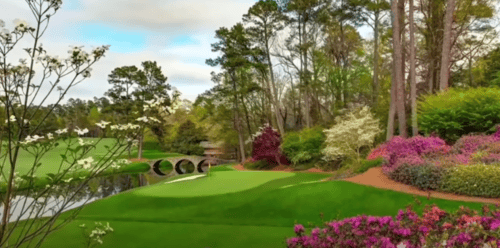 Golf course that looks like a plant-filled garden