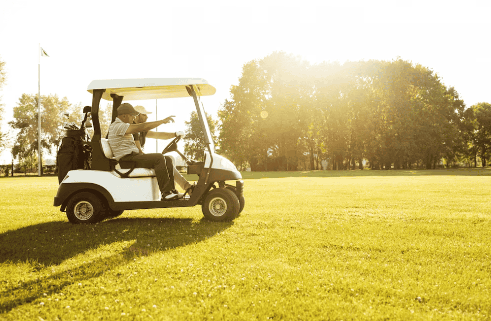 Two male golfers driving in a golf cart, a field with trees and sunlight