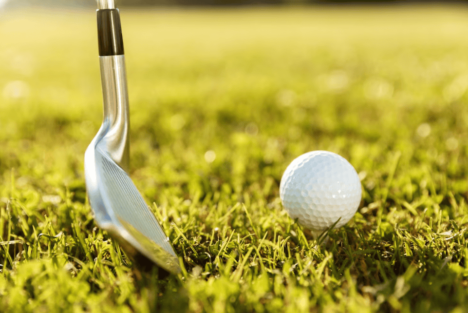 golf club and ball on the grass and the sunlight on the land