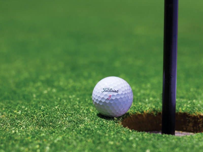 Programming Assignment Help for Golfers