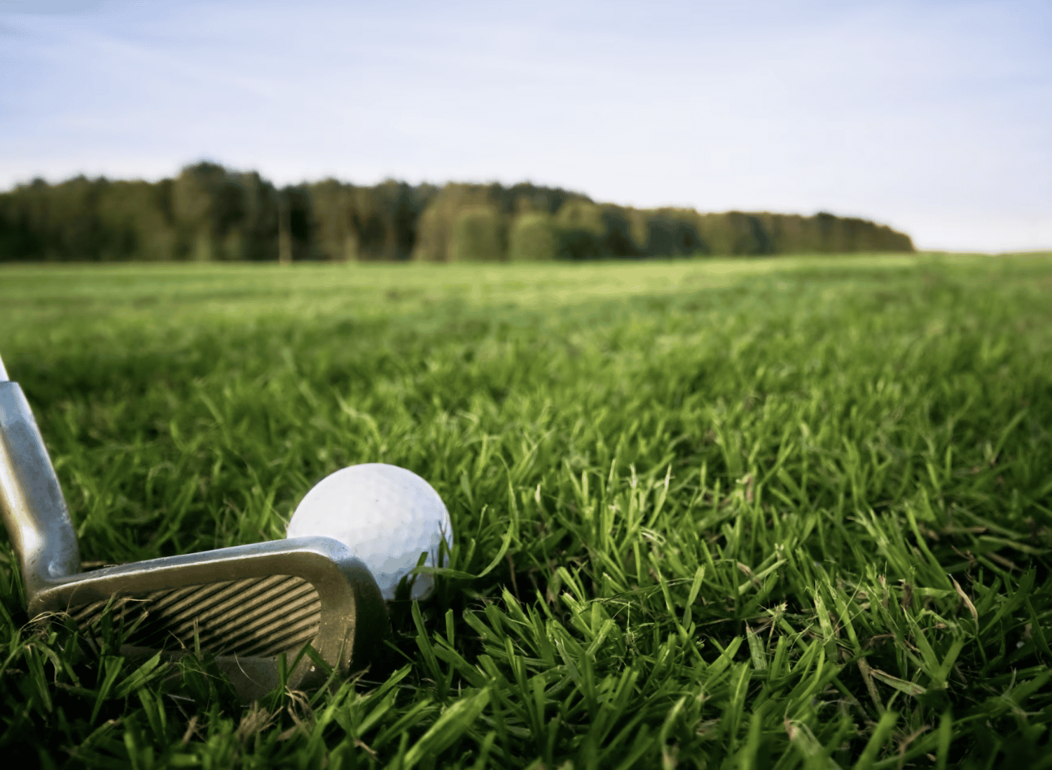 Golf club with a ball